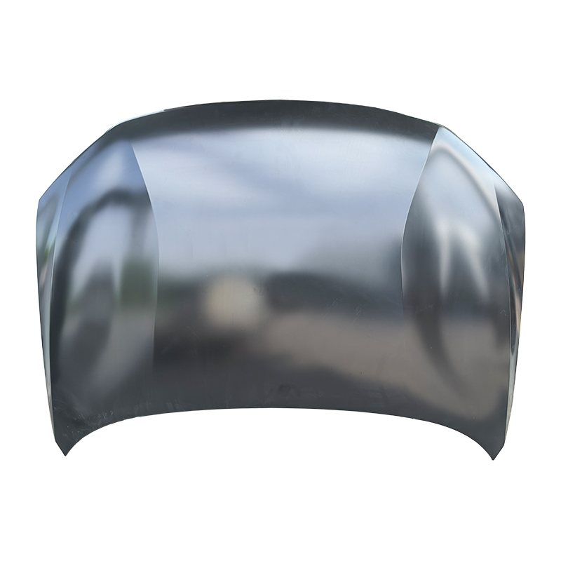 HYUNDAI SANTA CRUZ Hood