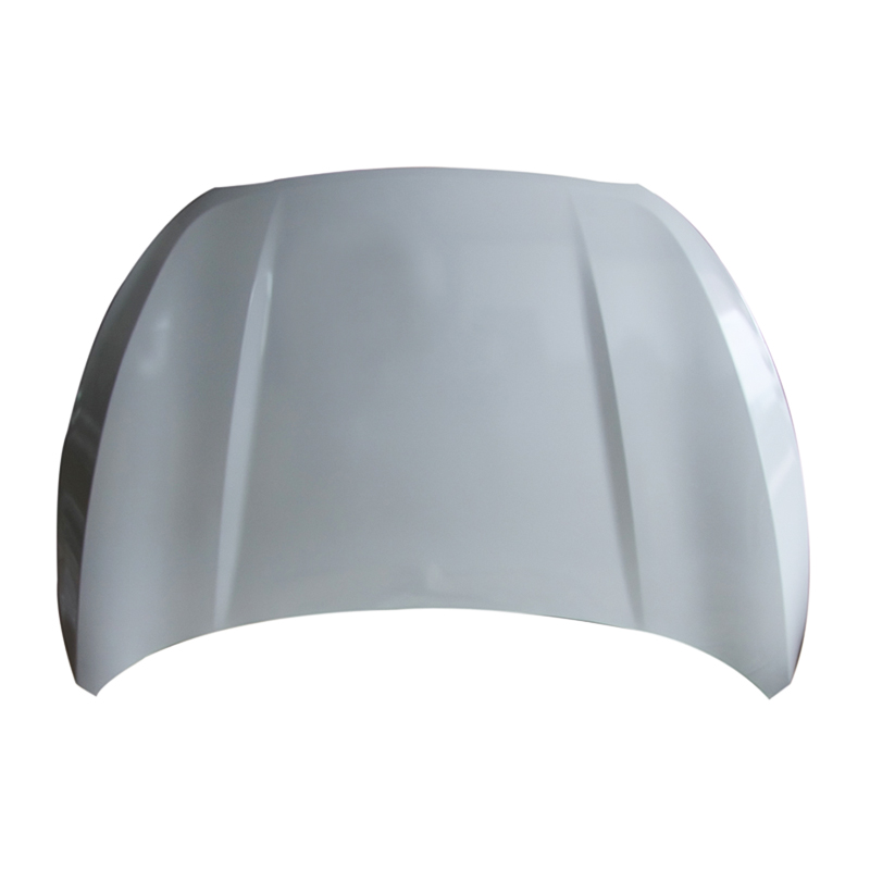 HYUNDAI TUCSON 11 Hood