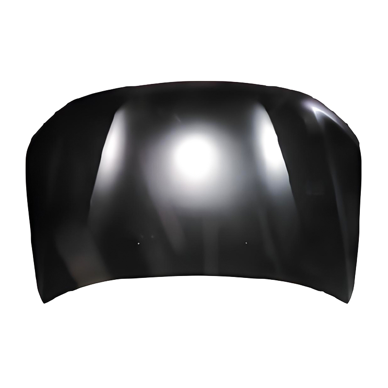 DACIA PULVIS 18 Hood