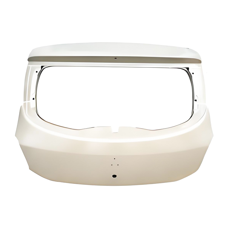 SANDERO 13 truncus operculo