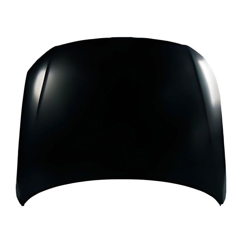 Passat B7 13 Hood