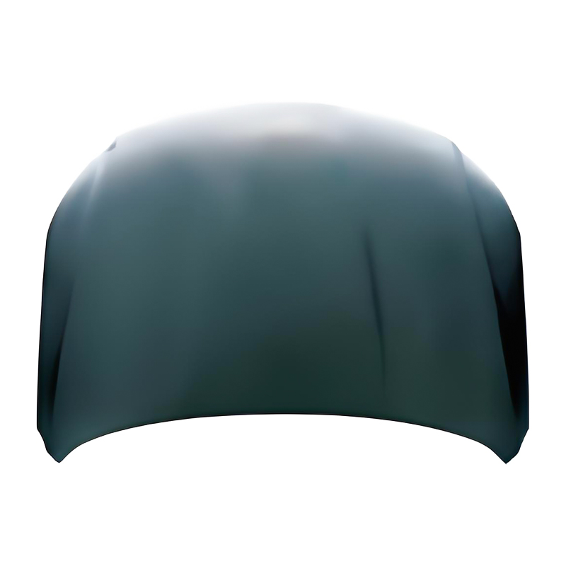 Passat CC 08 Hood