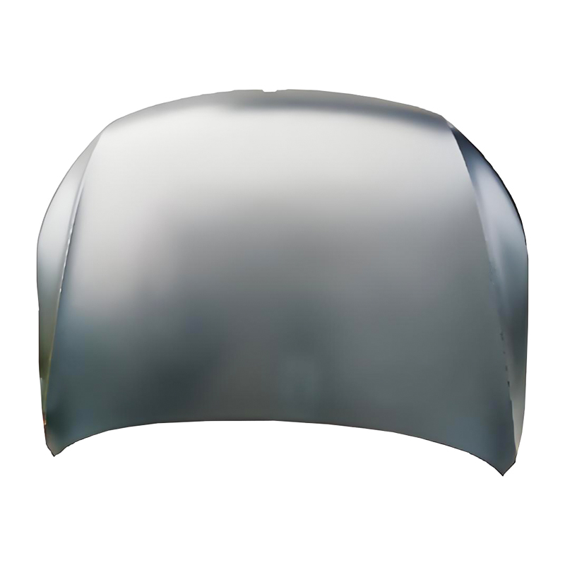 Passat CC 08 Hood