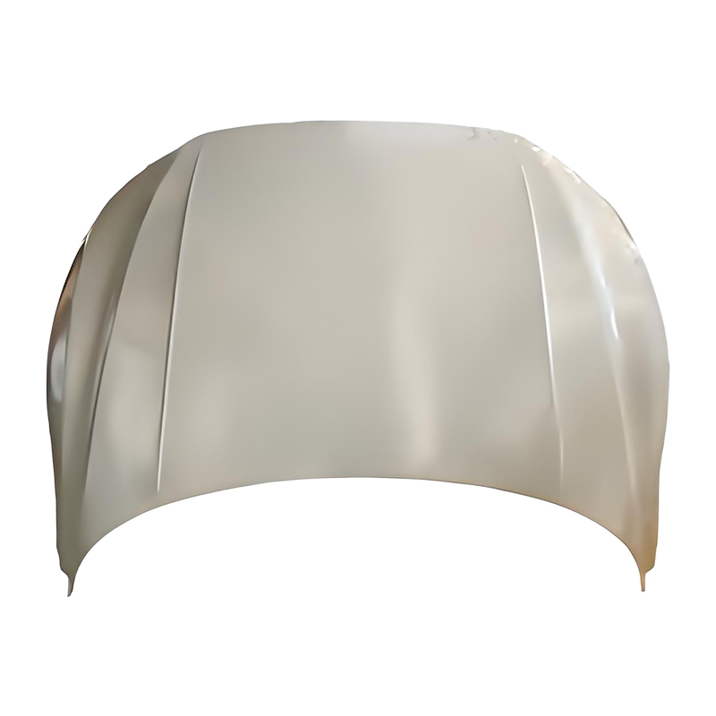 Passat CC 19 Hood