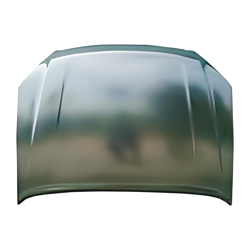 D-MAX 12 Hood