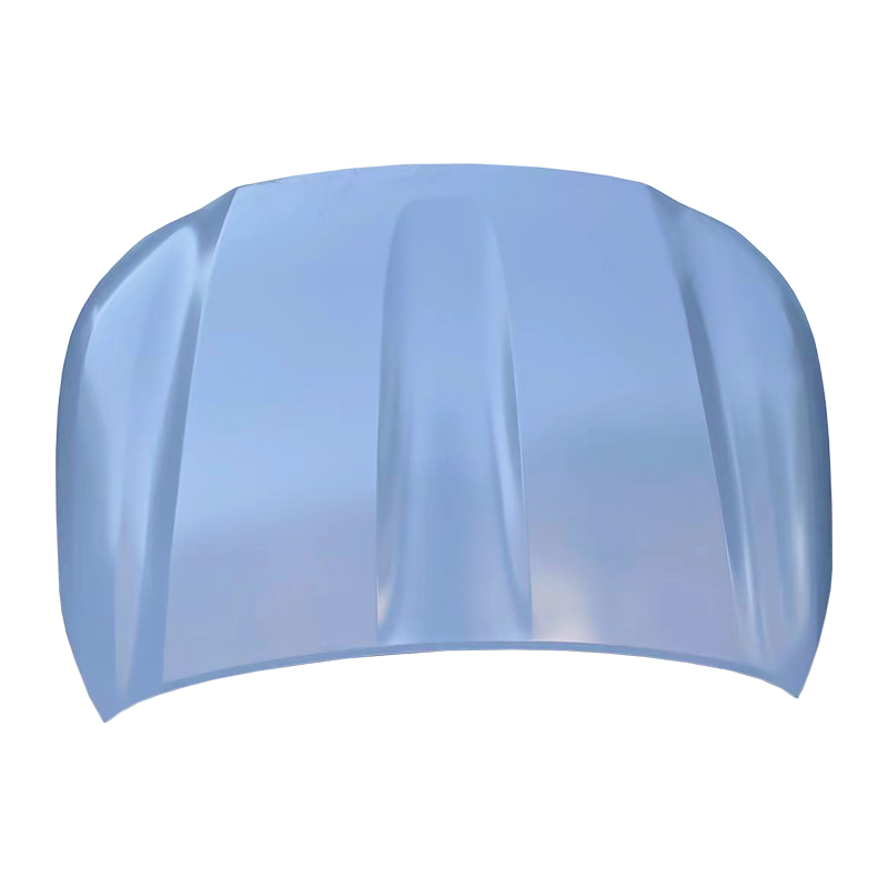 TOYOTA MAIORE 22 Hood
