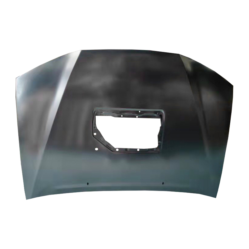 TOYOTA HILUX 12 VIGO Tectum (cum sunroof)