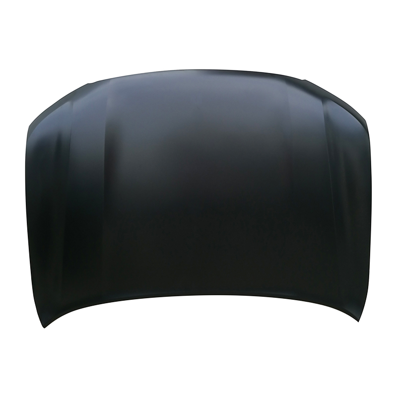 TOYOTA METAMORPHOSES VIII Hood