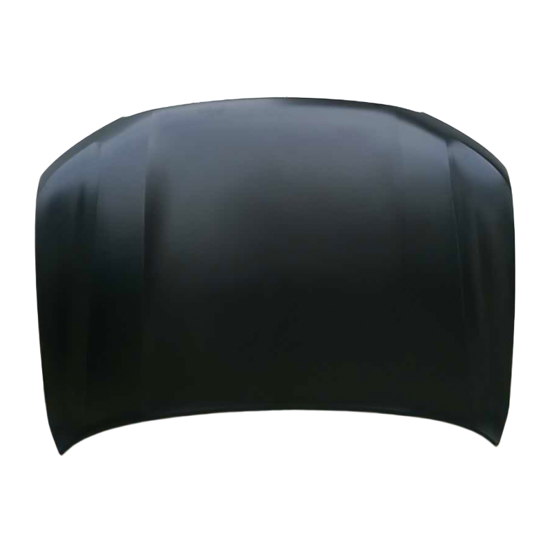 TOYOTA METAMORPHOSES VIII Hood