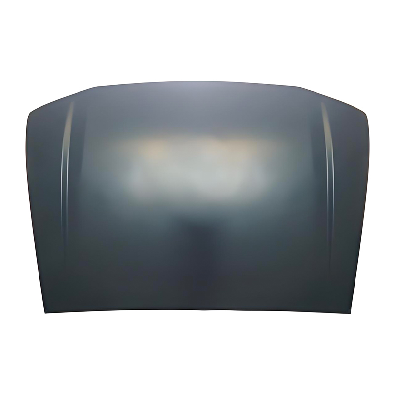 TOYOTA PRADO MMMCD MCMXCVIII Hood