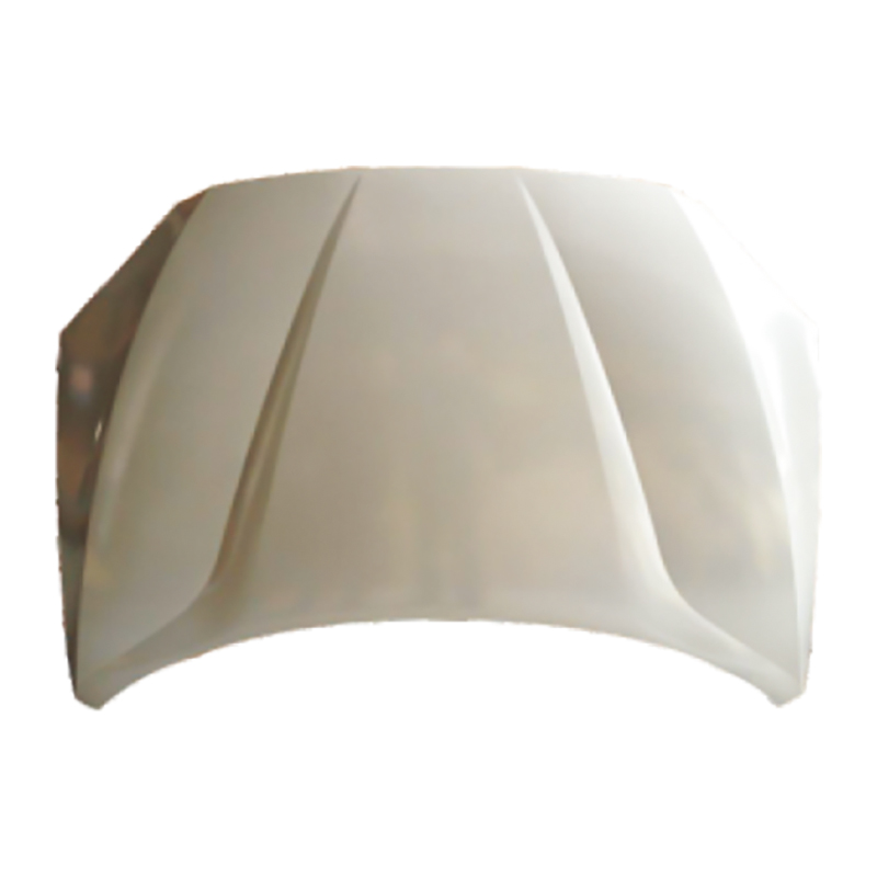 Auto parce partes Car Hood pro ILLUSTRIS V5-12