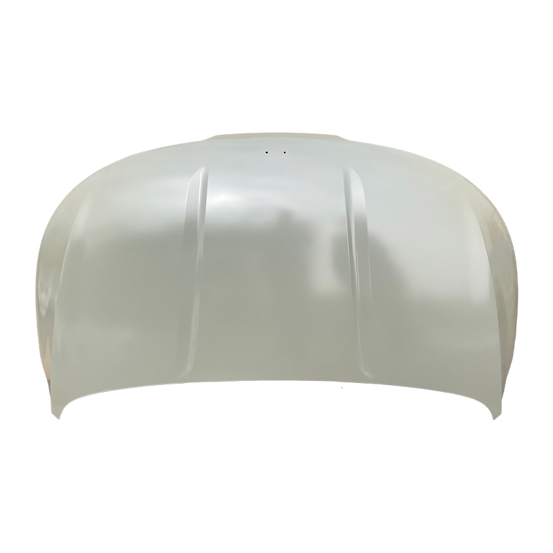 KIA FESTUM 22(R0000) Hood
